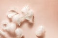 Beautiful Natural Background With White Swan Feathers Macro. Light Pastel Pink Backdrop. Creative Layout For Women`s Day,