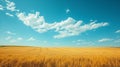 Beautiful natural background with yellow field and blue sky large copyspace area with copy space for text Royalty Free Stock Photo