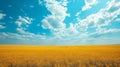 Beautiful natural background with yellow field and blue sky large copyspace area with copy space for text Royalty Free Stock Photo