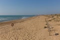 Beautiful natural beach and sand dunes near Guardamar de Segura