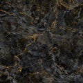 Beautiful natural black and gold textured marble