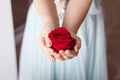 Beautiful and natural. Close-up of beautiful female hands holding flower. A child with wounded finger holds flowers in his hands Royalty Free Stock Photo