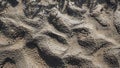 Beautiful natural coarse sand texture