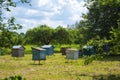 Small neat wooden bee houses in coutryside