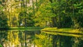 Beautiful and natural environment of a green lush and water pound in the middle of Oliwa Park in Gdansk.