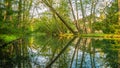 Beautiful and natural environment of a green lush and water pound in the middle of Oliwa Park in Gdansk, Poland.