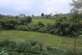 Beautiful natural farmland view