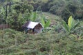 Beautiful natural farmland view