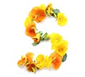 beautiful natural flower arrangements with yellow orange real fresh flowers letter S Royalty Free Stock Photo