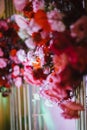 Beautiful natural flowers as interior decoration, wedding background, bridal bouquet Royalty Free Stock Photo