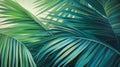 Beautiful natural green background with palm leaves