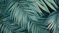 Beautiful natural green background with palm leaves