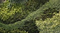 Paris, june 23th: Natural Green Wall interior from Charles de Gaulle Airport in Paris