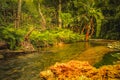 Beautiful and Natural Kawatuna River Royalty Free Stock Photo