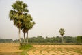 An beautiful Natural landscape of the Bangladesh.An beautiful Natural landscape of the Bangladesh. Bangladesh Rice Fields,