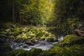 Beautiful natural landscape in Bavarian forest with greenery and River Wolfensteiner Ohe in Germany