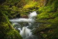 Beautiful natural landscape in Bavarian forest with greenery and River Wolfensteiner Ohe in Germany