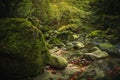 Beautiful natural landscape in Bavarian forest with greenery and River Wolfensteiner Ohe in Germany