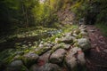 Beautiful natural landscape in Bavarian forest with greenery and River Wolfensteiner Ohe in Germany