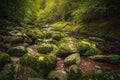 Beautiful natural landscape in Bavarian forest with greenery and River Wolfensteiner Ohe in Germany