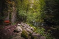 Beautiful natural landscape in Bavarian forest with greenery and River Wolfensteiner Ohe in Germany