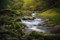 Beautiful natural landscape in Bavarian forest with greenery and River Wolfensteiner Ohe in Germany