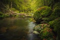 Beautiful natural landscape in Bavarian forest with greenery and River Wolfensteiner Ohe in Germany