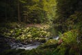 Beautiful natural landscape in Bavarian forest with greenery and River Wolfensteiner Ohe in Germany