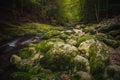 Beautiful natural landscape in Bavarian forest with greenery and River Wolfensteiner Ohe in Germany