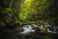 Beautiful natural landscape in Bavarian forest with greenery and River Wolfensteiner Ohe in Germany