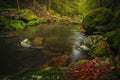 Beautiful natural landscape in Bavarian forest with greenery and River Wolfensteiner Ohe in Germany