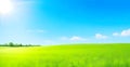 Beautiful natural landscape of a green field with grass against a blue sky with sun. Spring summer blurred background Royalty Free Stock Photo