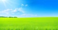 Beautiful natural landscape of a green field with grass against a blue sky with sun. Spring summer blurred background Royalty Free Stock Photo
