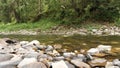 Beautiful natural landscape of the river and stones surrounded by green summer forest. Stock footage. Cold stream Royalty Free Stock Photo