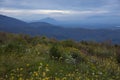 Beautiful natural landscape in the spring time in western Arcadia, Peloponnese, Greece.