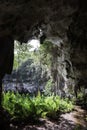 Beautiful natural landscape - view of lianas and rocks and fern from inside a deep cave in the Dominican Republic Royalty Free Stock Photo