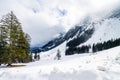 Beautiful and natural landscape winter wallpaper in mountains. Pine trees and snow on cloudy day in Mt. Pilatus, Lucern. Royalty Free Stock Photo