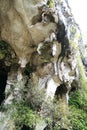 Beautiful natural limestone cave entrance in Malaysia. Limestone Hill and Cave.Jungle covered and dramatic rounded hill and huge h