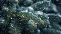 Beautiful_natural_macro_image_of_green_spruce_branches_1690450080490_6