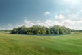 Beautiful natural park with green grass garden landscape Royalty Free Stock Photo