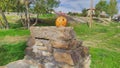 Beautiful natural pumpkin in a town in madrid