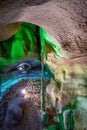 Beautiful natural rock formations - stalactite, stalagmite and stalactone in the Bacho Kiro Cave in Bulgaria Royalty Free Stock Photo