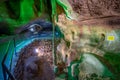 Beautiful natural rock formations - stalactite, stalagmite and stalactone in the Bacho Kiro Cave in Bulgaria Royalty Free Stock Photo