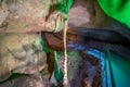 Beautiful natural rock formations - stalactite, stalagmite and stalactone in the Bacho Kiro Cave in Bulgaria Royalty Free Stock Photo