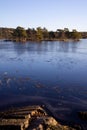 Beautiful natural Scandinavian landscape. Frozen lake with forest and stones at the shore line. Sunny late autumn or winter day in Royalty Free Stock Photo