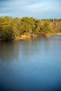 Beautiful natural Scandinavian landscape. Frozen lake with forest and stones at the shore line. Sunny late autumn or winter day in Royalty Free Stock Photo