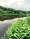 Beautiful natural scenery of river in Moscow region, Russia. Summer landscape. Royalty Free Stock Photo
