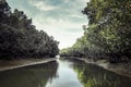 Beautiful natural scenery of river in southeast Asia tropical green forest, Rafting on a very beautiful mountain river. Royalty Free Stock Photo