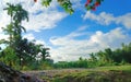 Beautiful natural scenery of The sky in udalguri district of Assam, india.