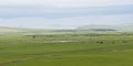 Beautiful natural scenery in summer with Colorful Ã¯Â¼Ëyellow, green) grass and rolling hills.